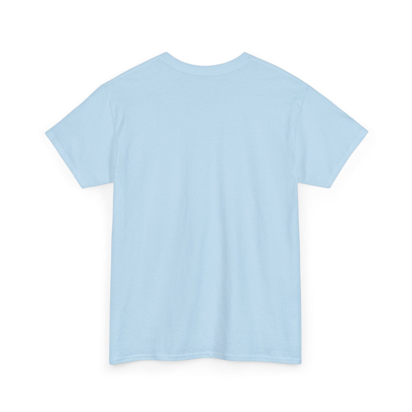*COZY SEASON* t-shirt in various colors