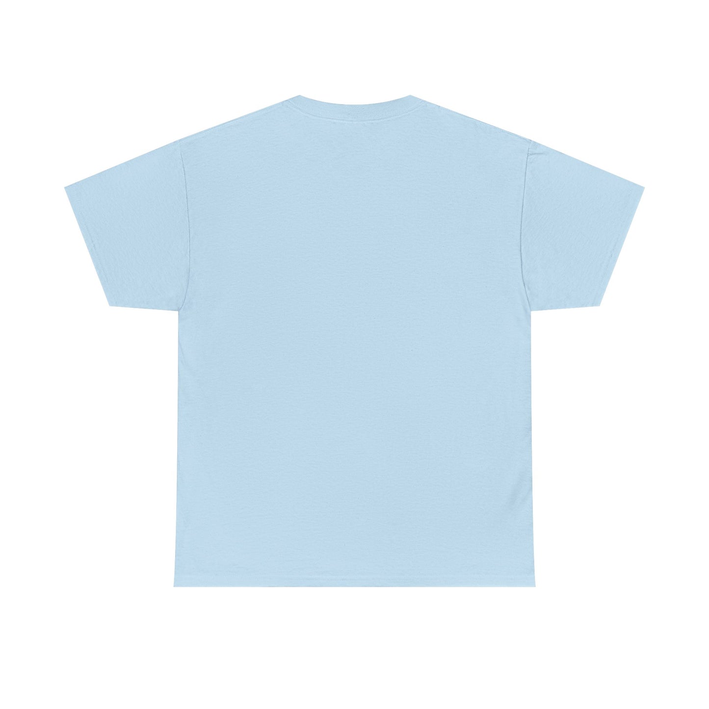 *COZY SEASON* t-shirt in various colors