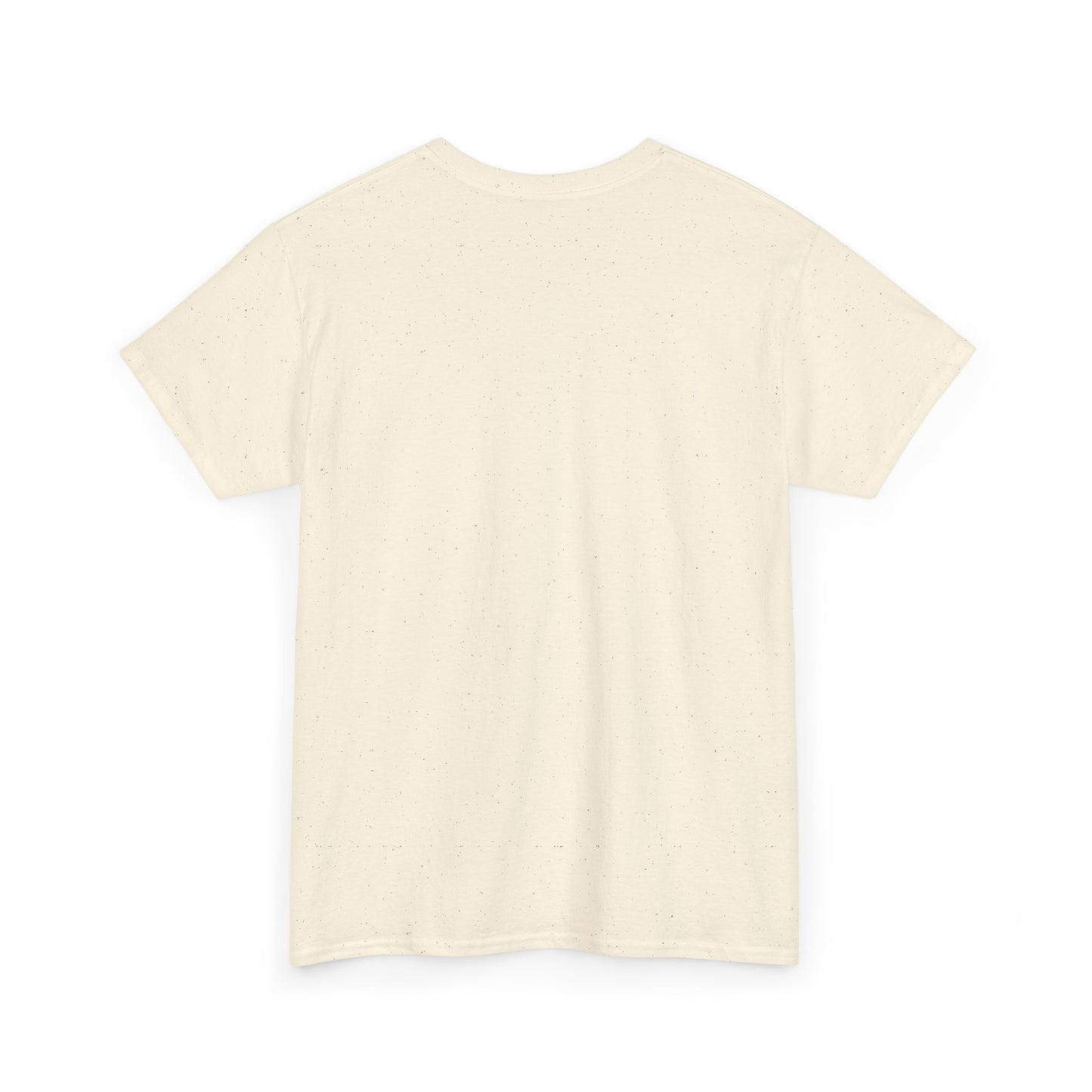 *COZY SEASON* t-shirt in various colors
